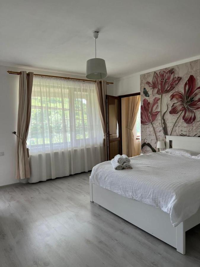 Casa Mardar Séjour chez l'habitant Oradea